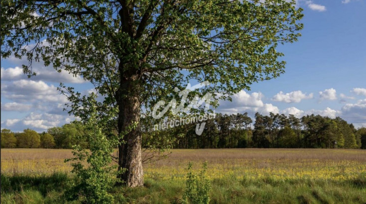 Działka Sprzedaż Jarnatów 1